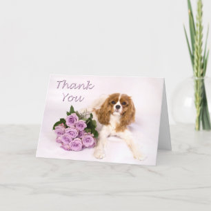 Thank You Cavalier King Charles Spaniel Roses Card