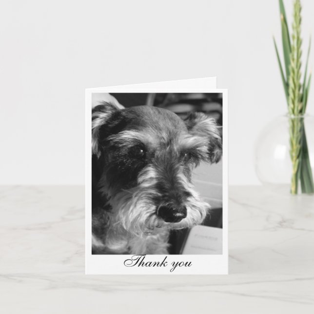 Thank you (Charmin) Card (Front)