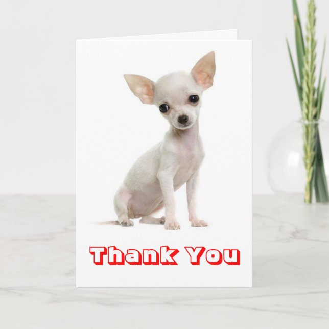 Thank You Chihuahua Puppy Dog Greeting Card (Front)