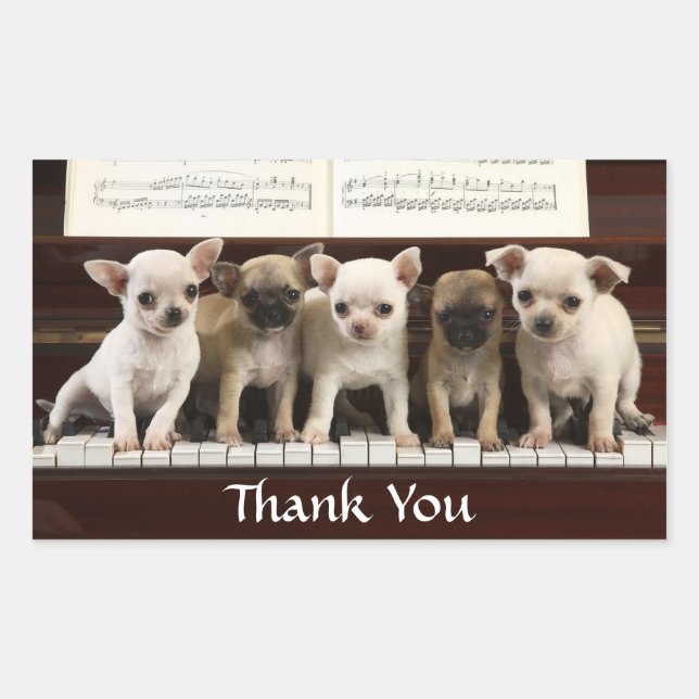 Thank You Chihuahua Puppy Dogs Greeting Sticker (Front)