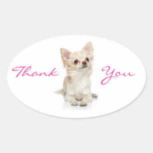 Thank You Chihuahua Sticker