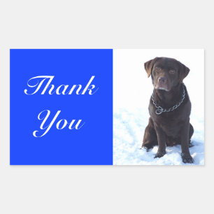 Thank You Chocolate Labrador Retriever Sticker