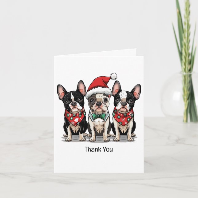 Thank You Christmas Boston Terrier Dogs (Front)