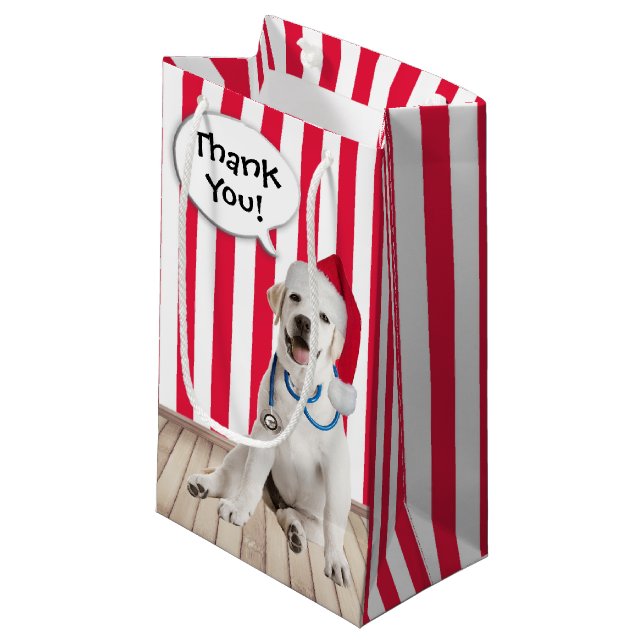 Thank You Christmas for Veterinarian   Small Gift Bag (Front Angled)