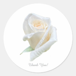 Thank You! Classic Round Sticker