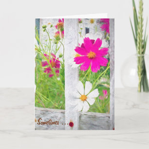 thank you cosmos flower garden card