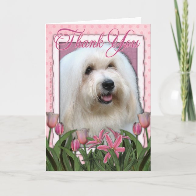 Thank You - Coton de Tulear (Front)