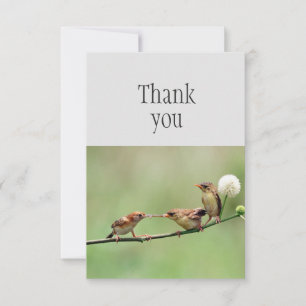 Thank You Cute Bird Parent Baby Birds Card