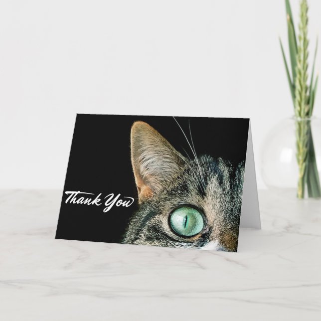 THANK YOU cute cat greetings card (Front)
