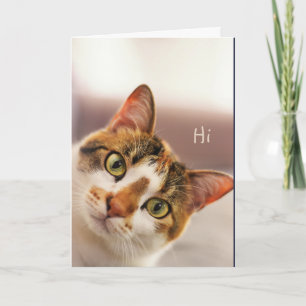 Thank you Cute Cat Kitten Animal  Card