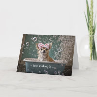 Thank You Cute Chihuahua Puppy in a Bubble Bath