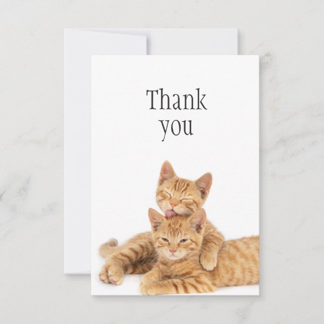 Thank You Cute Orange Tabby Cat Kittens (Front)