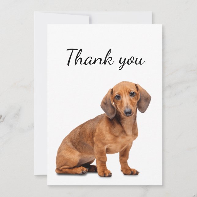 Thank You Dachshund Dog Pet Animal  (Front)
