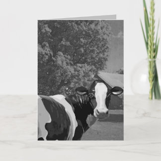 Thank You - Dairy Much Card
