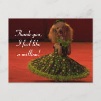 Thank-you Dog