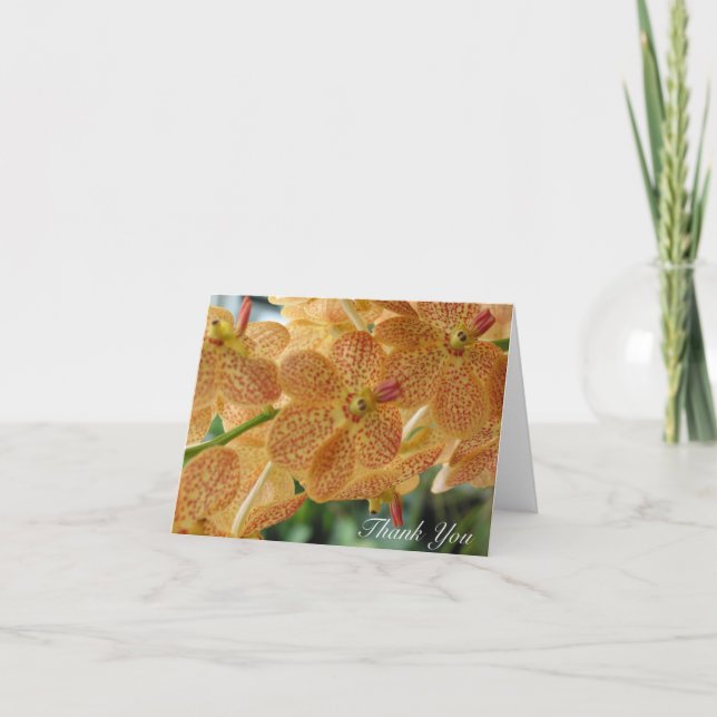 Thank You  Dotted Orchid (Blank Inside) (Front)