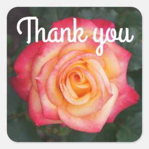 Thank You Dream Come True Rose #1 Stickers
