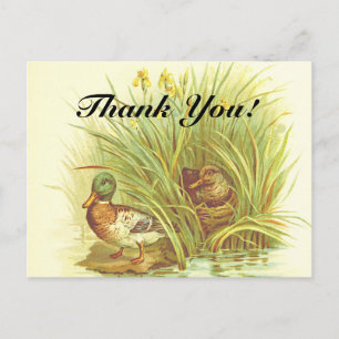 "Thank You!" + Ducks Near the Water Postcard