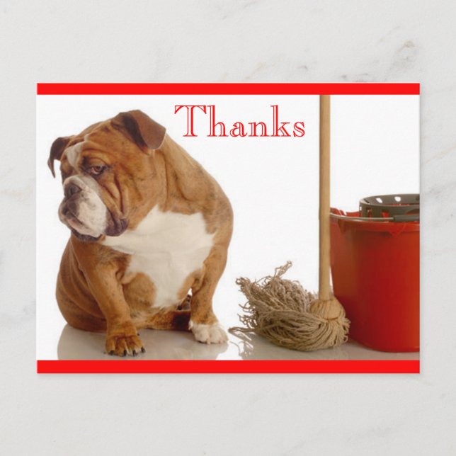 Thank You English Bulldog Puppy Dog Postcard (Front)