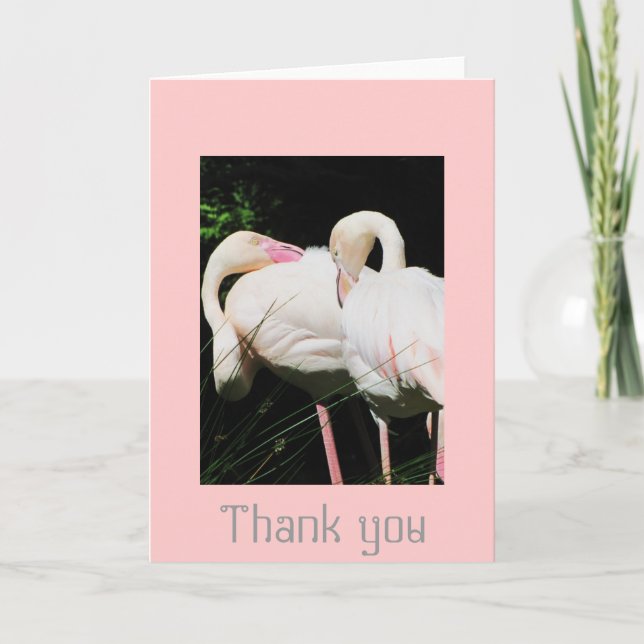 Thank you Flamingo bird greeting card (Front)