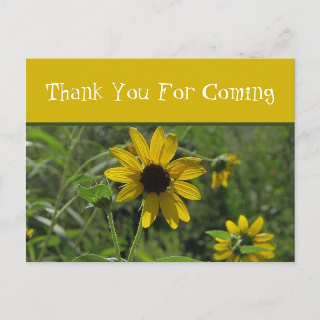Thank You Flower Photo Floral Guest Appreciation Postcard (Front)