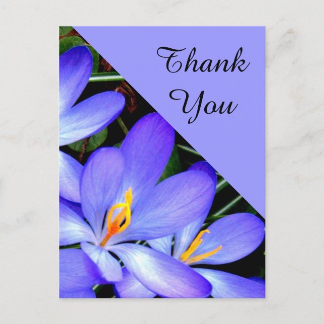 Thank You , Flowers Postcard (Front)