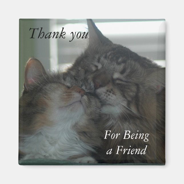 Thank you for being a friend Magnet (Front)