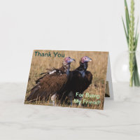 Thank You for Being My Friend, Vulture Card