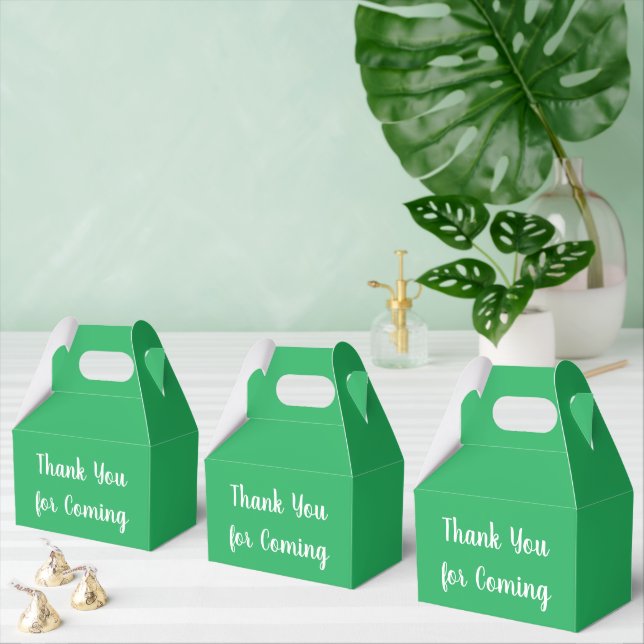 Thank You For Coming favour box (Multiple)