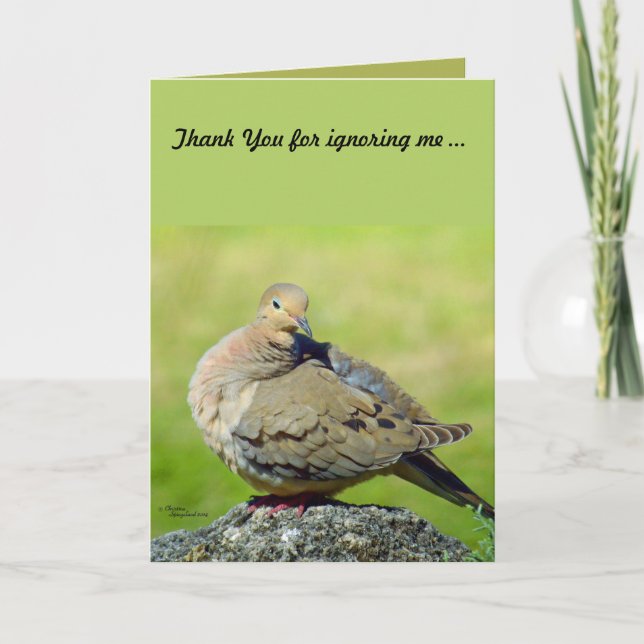 Thank You for ignoring me Greeting Card (Front)