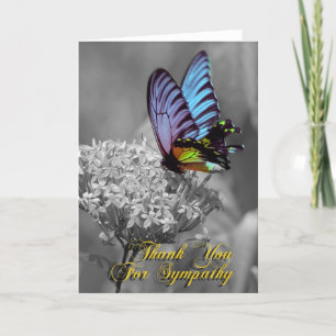 Thank you for sympathy