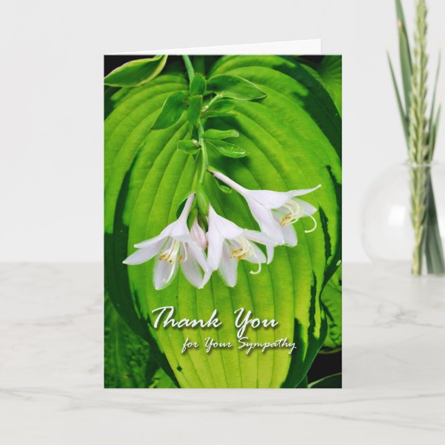 Thank You for Sympathy, Hosta Blooms Card (Front)