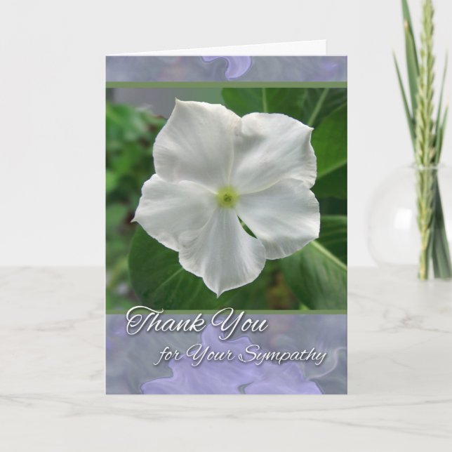 Thank You for Sympathy White Vinca Vine Bloom Card (Front)