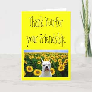 Thank You for your Friendship boxer greeting card