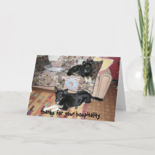 Thank you for your hospitality card (dogs)