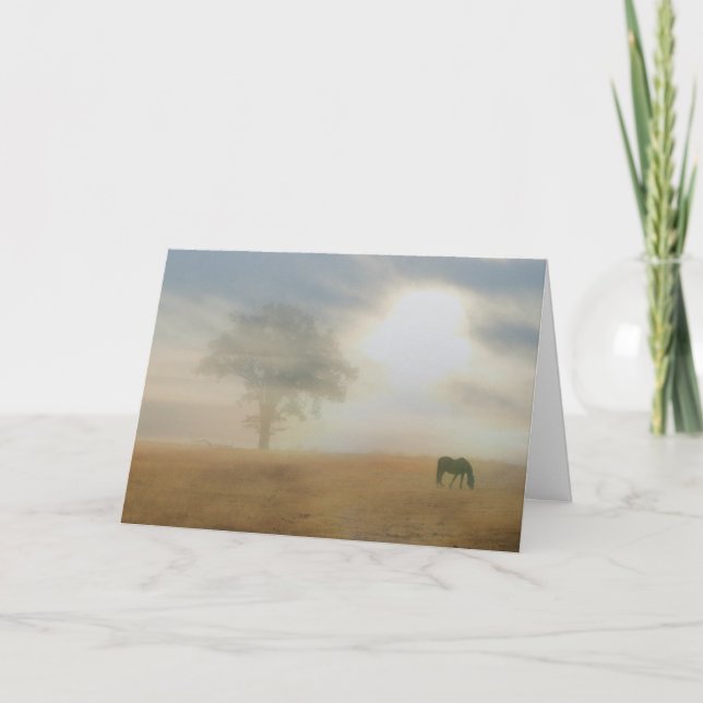 Thank you for your sympathy horse and sun card (Front)