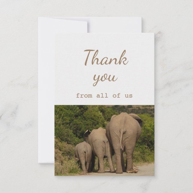Thank You From All of Us Elephants Animal Fun (Front)