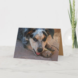 Thank you from the Heart - Dog Lover Card