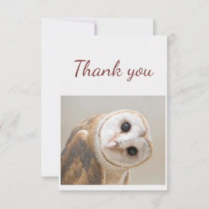Thank You Fun Curious Barn Owl Bird Nature Art