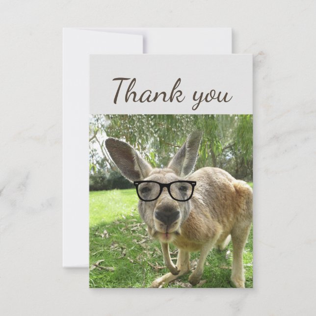 Thank You Fun Curious Kangaroo Glasses Animal (Front)