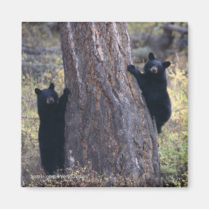 Thank You Gift Magnet