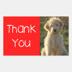 Thank You Goldendoodle Puppy Dog Sticker / Label