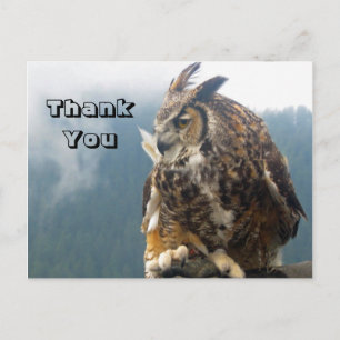 Thank You Great horned owl Postcard
