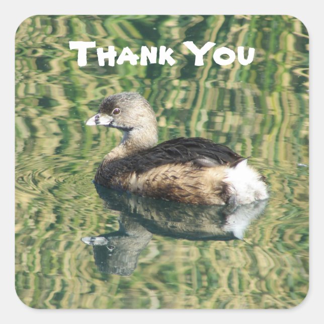 Thank You Grebe Photo With Reflection Appreciation Square Sticker (Front)
