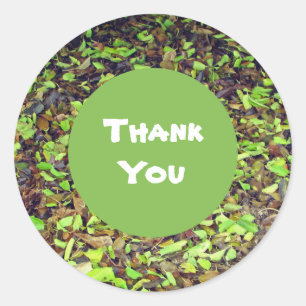 Thank You Green Brown Leaves Appreciation Classic Round Sticker