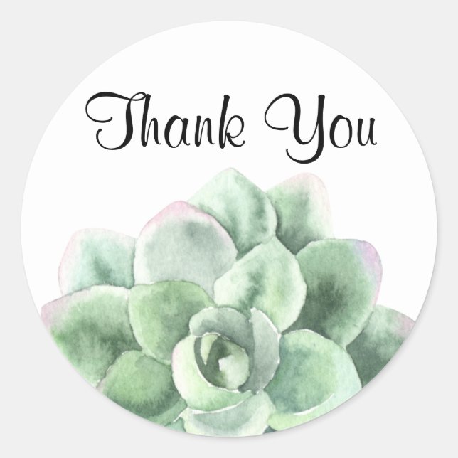 Thank You, Green Echeveria Succulent Plant Classic Round Sticker (Front)