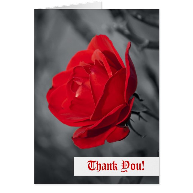 Thank You Greeting Card (Front)