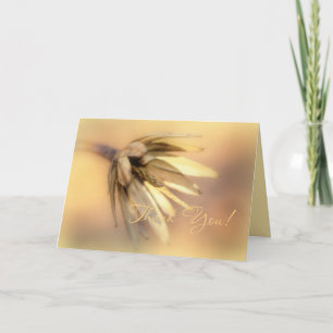Thank You Greeting Card - Tulip Poplar Seed Pod