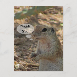 Thank You Ground Squirrel Photo Desert Animal Postcard