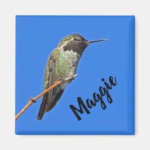 Thank You Hummingbird Photo Nature Appreciation Magnet